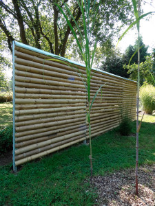 Palissade horizontale en bambou - Devis sur Techni-Contact.com - 4