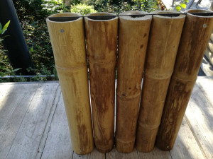 Palissade verticale en bambou - Devis sur Techni-Contact.com - 3
