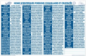 Produit 1