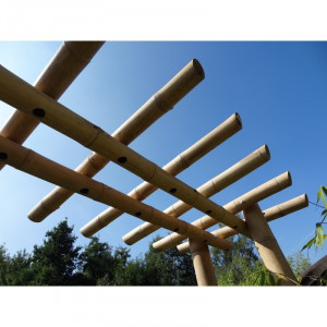 Pergolas en bambou - Devis sur Techni-Contact.com - 2