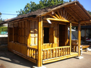 Petite maison en bambou avec terrasse - Devis sur Techni-Contact.com - 1