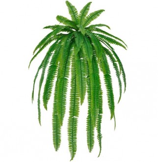 Produit 1
