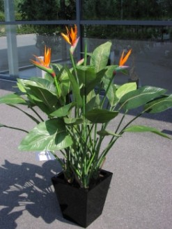 Produit 1