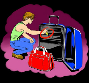 Plaquette anti punaises de lit pour valise - Devis sur Techni-Contact.com - 4