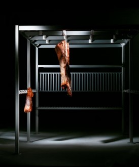 Portique viande acier - Devis sur Techni-Contact.com - 2