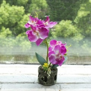 Pot de fleurs phalaneopsis artificielles - Devis sur Techni-Contact.com - 1