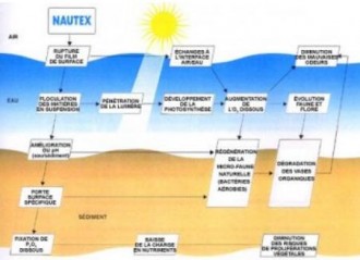 Produit d'entretien de plan d'eau - Devis sur Techni-Contact.com - 1