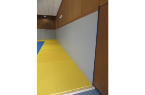 Protection de mur arts martiaux - Devis sur Techni-Contact.com - 2