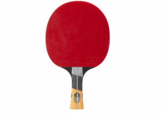 Raquette de ping pong familliale - Devis sur Techni-Contact.com - 2