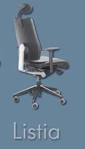 Siège ergonomique de direction - Devis sur Techni-Contact.com - 1