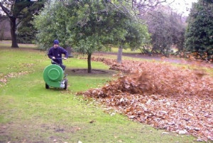 Souffleurs de feuilles à Poussé et automoteur - Devis sur Techni-Contact.com - 3