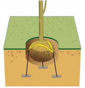 Système d'ancrage de motte   - Devis sur Techni-Contact.com - 2