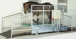 Tapis d’entrainement chevaux ou trotteurs courts - Devis sur Techni-Contact.com - 1