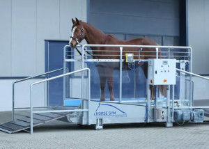 Tapis d’entrainement chevaux ou trotteurs courts - Devis sur Techni-Contact.com - 2