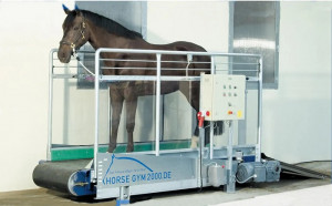 Tapis d’entrainement pour chevaux - Devis sur Techni-Contact.com - 1