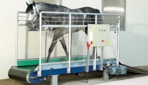 Tapis d’entrainement pour chevaux - Devis sur Techni-Contact.com - 3