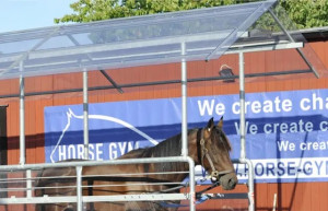 Tapis d’entrainement cheval - Devis sur Techni-Contact.com - 2