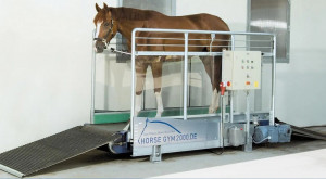 Tapis d’entrainement cheval - Devis sur Techni-Contact.com - 3