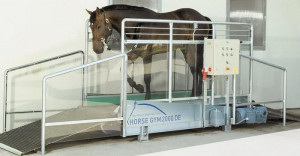 Tapis d’entrainement pour cheval - Devis sur Techni-Contact.com - 2