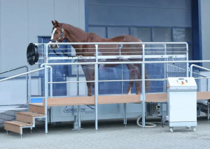 Tapis d’entrainement trotteur - Devis sur Techni-Contact.com - 1