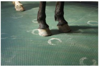 Tapis de boxes pour chevaux - Devis sur Techni-Contact.com - 1