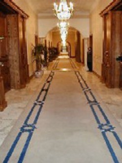 Tapis de passage pour bâtiment officiel - Devis sur Techni-Contact.com - 1