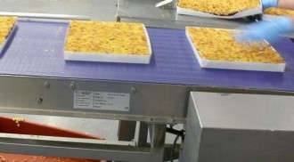 Tapis de transport alimentaire à courroies - Devis sur Techni-Contact.com - 2