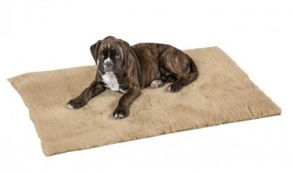 Tapis pour animaux domestique - Devis sur Techni-Contact.com - 1