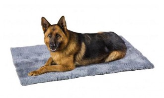 Tapis pour animaux domestique - Devis sur Techni-Contact.com - 2