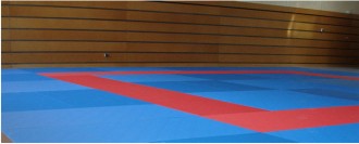 Tatamis de judo - Devis sur Techni-Contact.com - 1