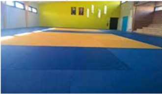 Tatamis de judo avec ou sans antidérapant - Devis sur Techni-Contact.com - 1