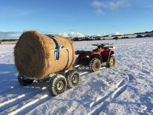 Transporteur de balles rondes - Devis sur Techni-Contact.com - 2