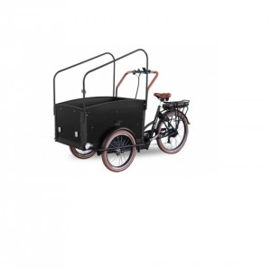 Tricycle cargo enfants - Devis sur Techni-Contact.com - 3