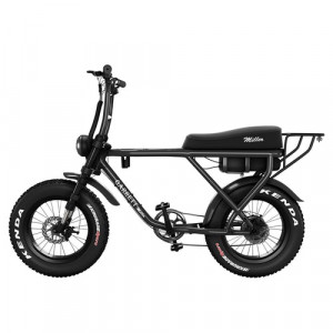 Vélo électrique pour 2 personnes - Devis sur Techni-Contact.com - 3