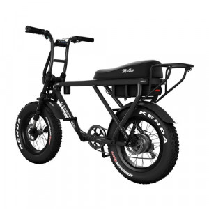 Vélo électrique pour 2 personnes - Devis sur Techni-Contact.com - 4