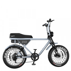 Vélos électriques avec selle biplace  - Devis sur Techni-Contact.com - 2