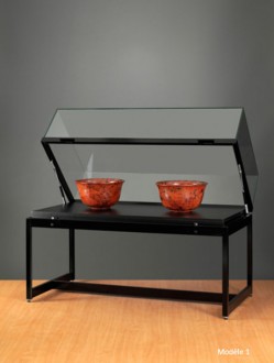 Vitrine plate - Devis sur Techni-Contact.com - 1