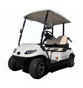 Voiturette de golf 2 places  - Devis sur Techni-Contact.com - 1